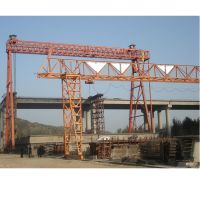 天津起重機-廠家直銷單梁起重機